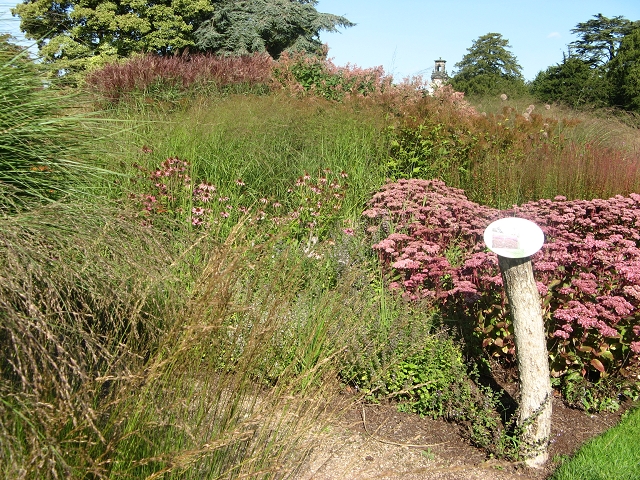 Trentham Garden